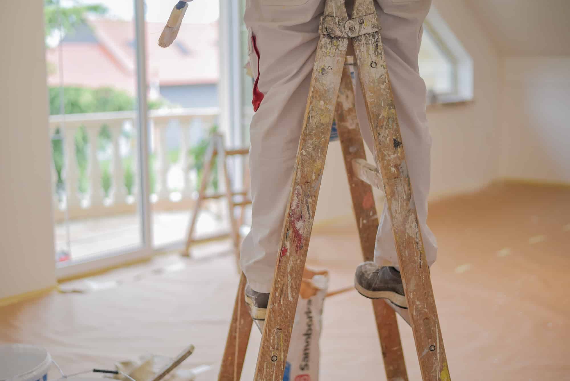 Jaya Peinture